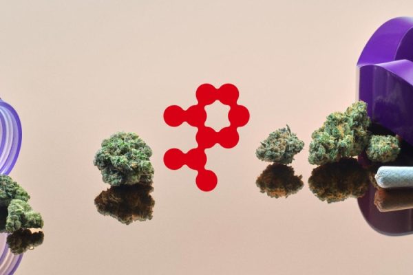 Super Okay Dreams up ‘The Great American Cannabis Company’ With THC Design Rebrand