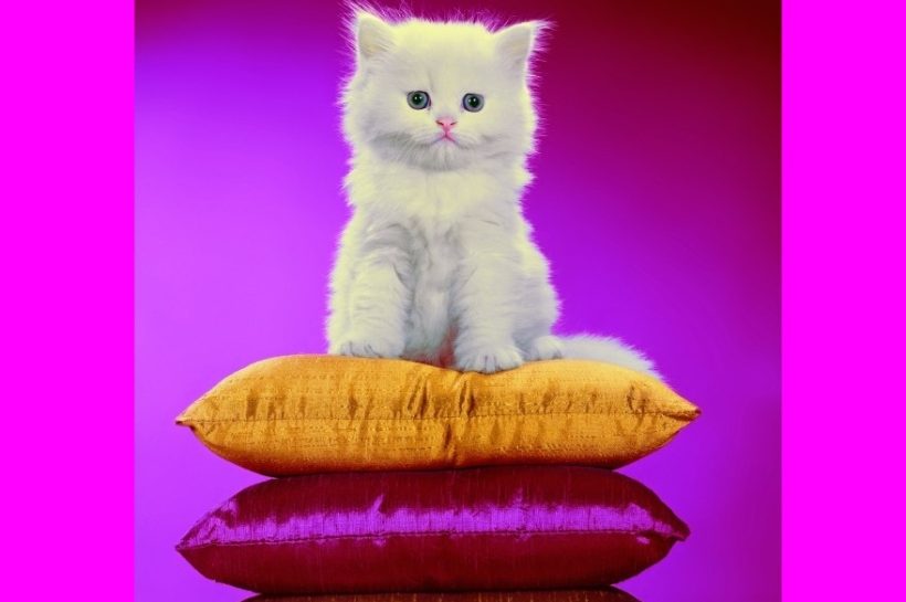 The Daily Heller: Feeling the Feel-Good Effects of Color Photography